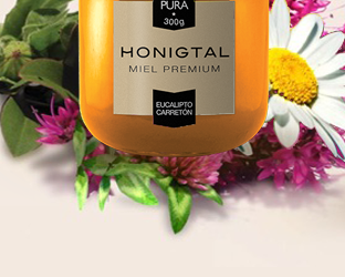 Discover our honey